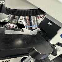 Olympus CX31RBSF Microscope image 2